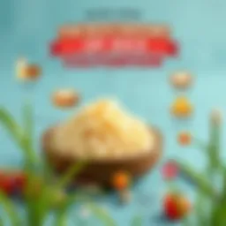 Detailed infographic on the history of rice cultivation