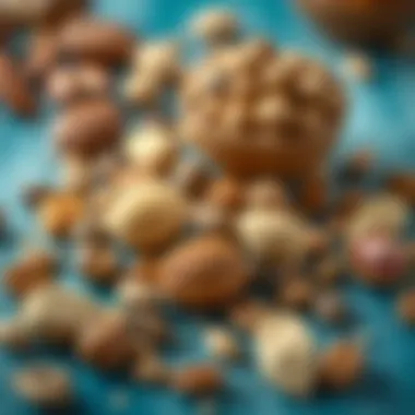 Nuts and Seeds for Increased Milk Supply Nuts and seeds enhancing nutritional value for lactation