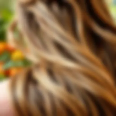 Revitalized Hair with Argan Oil A lush scene of healthy hair flowing, nourished by argan oil
