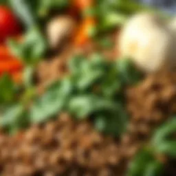 A variety of iron-rich foods including spinach and lentils