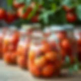 Fresh Tomatoes for Canning Fresh tomatoes ready for preservation