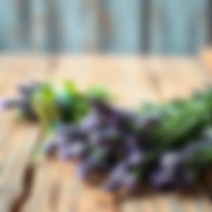 Fresh lavender flowers on a wooden table