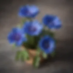 A vibrant blue chicory plant in full bloom