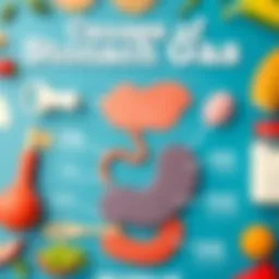 An infographic illustrating the causes of stomach gas