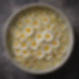 Dried chamomile flowers steeping in hot water