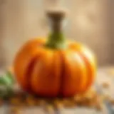 Nutrient composition of pumpkin seed oil