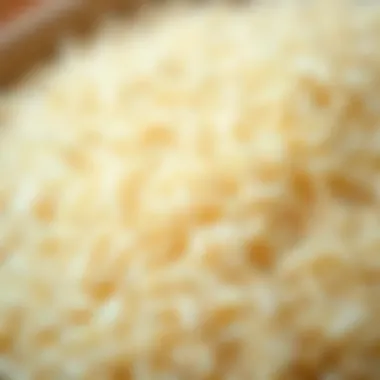Texture of Rice Grains Rice grains with detailed texture