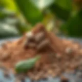 Understanding Cocoa Powder Price Dynamics The intricate world of cocoa powder prices and market trends