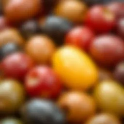 Close-up view of assorted olives showcasing their rich colors